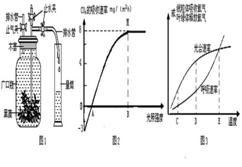 一飛船在某行星表面附近沿圓軌道繞該行星飛行.認(rèn)為行星是密度均勻的球體.要確定該行星的密度.只需要測(cè)量 a.飛船的軌道半徑 b.飛船的的運(yùn)行速度 c.飛船的運(yùn)行周期