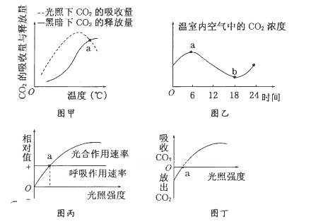 某校生物興趣小組以玉米為實驗材料,研究不同條件下光合作用速率和呼吸作用速率,繪制了如甲 乙 丙 丁所示的四幅圖 除哪幅圖外,其余三幅圖中 a 點都可表示光合作用速率與呼吸作用速率相等