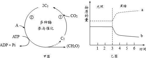 光合作用過程分析與曲線解讀