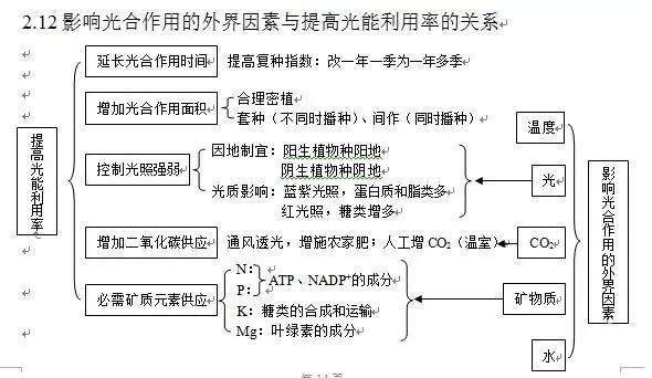 詳解光合作用，輕松掌握高中生物知識點